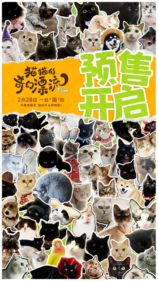 《猫猫奇幻漂流》百度网盘下载高清无水印阿里云盘【HD1080P-MP4】在线分享