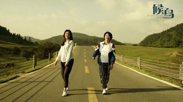 电影《候鸟》4月30日将映 王姬高丽雯母女情感人插图1